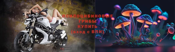 ГАЛЛЮЦИНОГЕННЫЕ ГРИБЫ Абаза