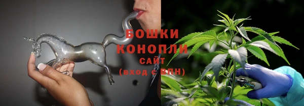 ГАЛЛЮЦИНОГЕННЫЕ ГРИБЫ Абаза