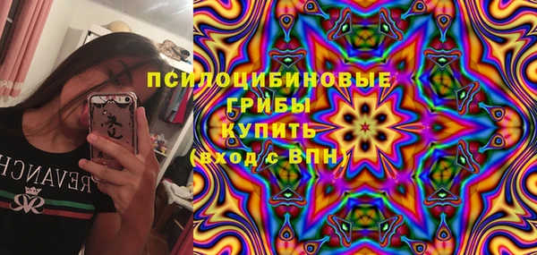 ГАЛЛЮЦИНОГЕННЫЕ ГРИБЫ Абаза